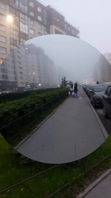 Туман в Питере