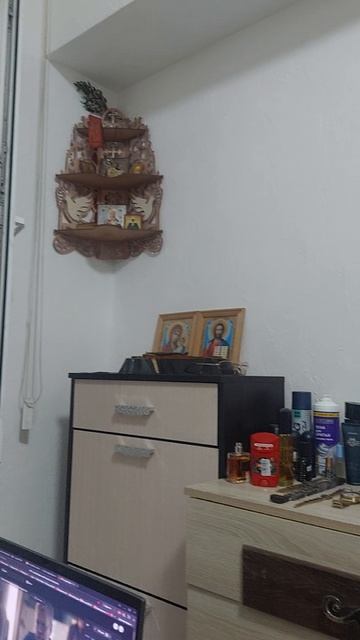 Приобрел традескацию