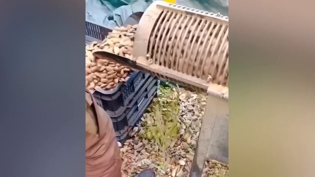 От Этих Процесов Производства Волосы Встают Дыбом!