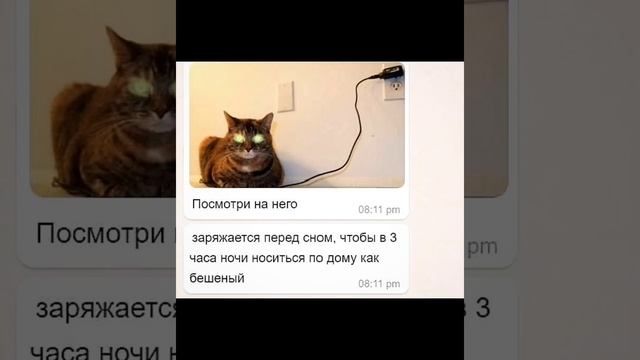 Квадрат Малевича сделал макияж смотри смешные картин?