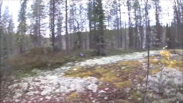 весло моторный поход по княжегубскому вдх  часть 3