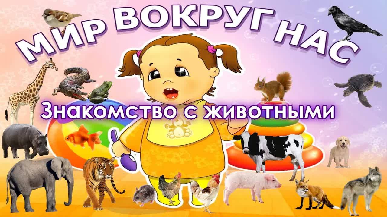 Мир вокруг нас: Знакомство с животными для детей и малышей