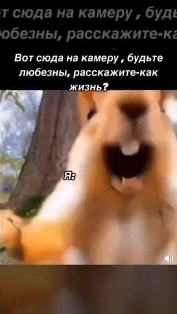 Белка ерунды не скажет