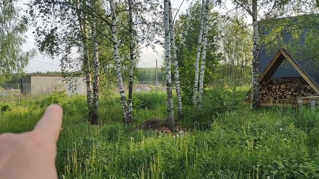 Расторгуево 11,64 сотки
