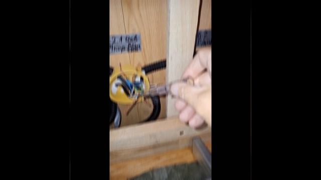 1000025049.mp4 (Собака смотрит на электроснабжение нового дома А-фрейм)