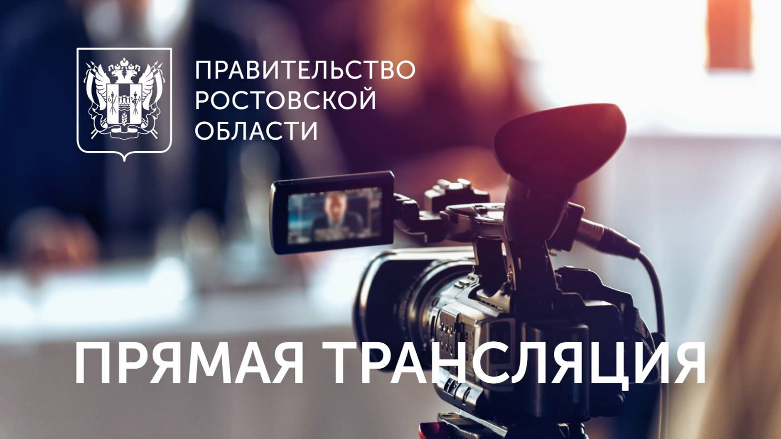 Заседание Совета по культуре и искусству при Губернаторе Ростовской области