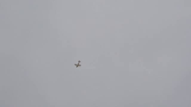 RC plane Ultimate 120 cc | РУ модель  самолета