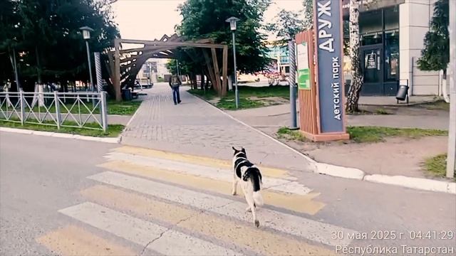 ГОЛОС ИЗ НАРОДА 2025.05.30v2