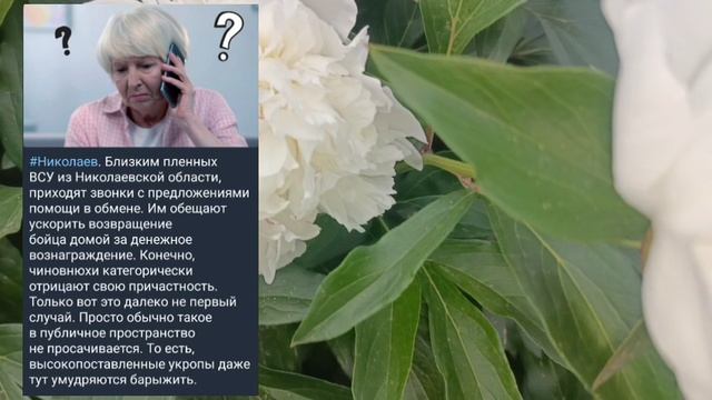 Николаев 31 мая 2025 года (новости)