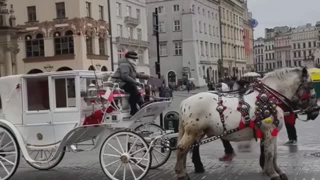 Монреаль - Гид по городу