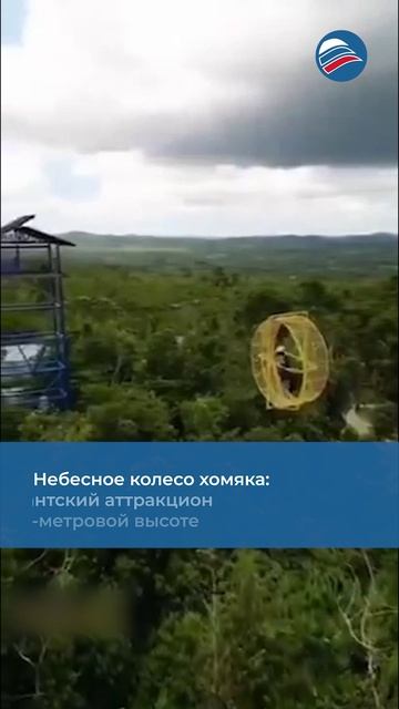 Небесное колесо хомяка: гигантский аттракцион на 60-метровой высоте
