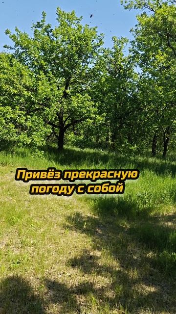 Второе событие которое поднимает настроение!
