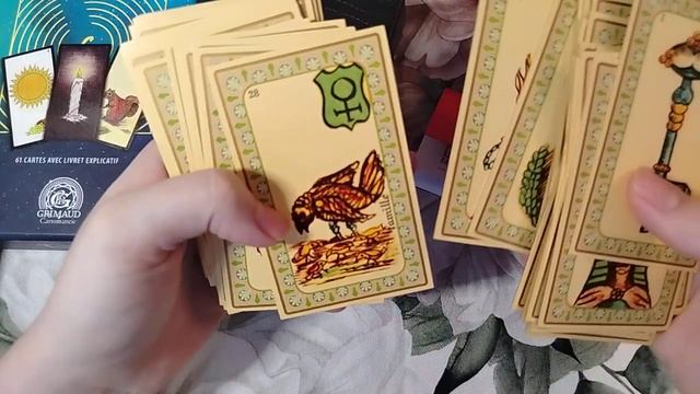 Вся моя коллекция оракулов 🫐