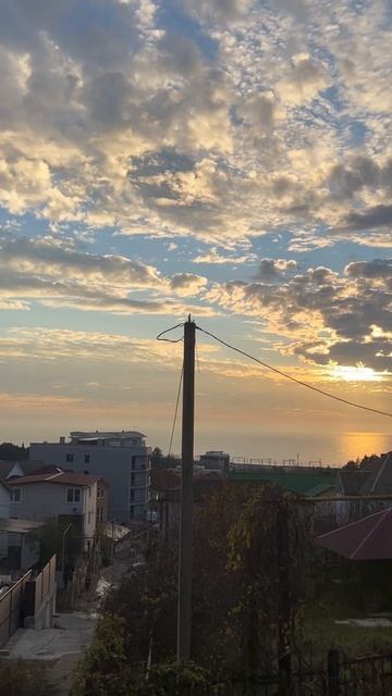 #Жако 
#Чихуахуа 
#Сочи 
#Жизнь Сочи 
#Животные Сочи 
#Природа Сочи 
#Кайф Сочи 
#Василиса
Ставь 👍