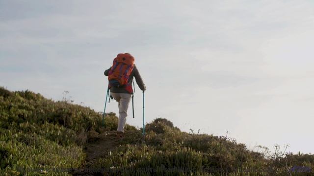 Что скрывается за этими кадрами Ответ вас удивит! - Soul-Work -- Ketsa -- The New World