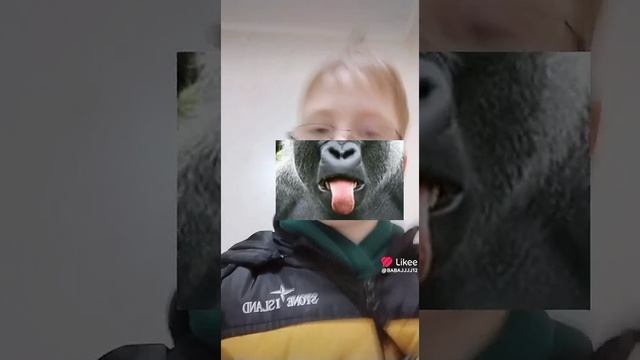 Like_7510217533427823874.mp4