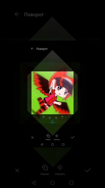 petal_20250530_165811.mp4