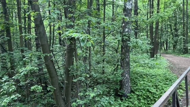 Предоставление в аренду земельного участка