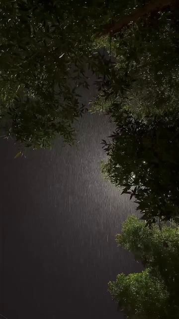 -8989647888563787265