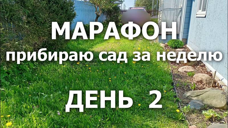 Марафон "Прибираю сад за неделю" День 2 (23.05.2025)