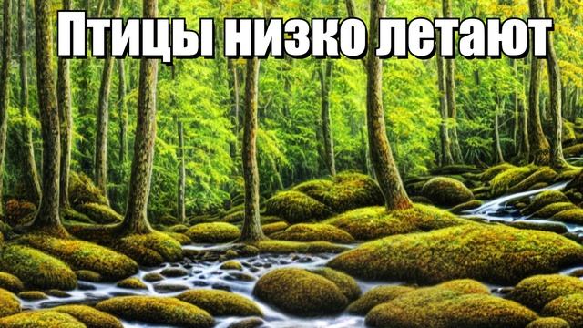 Птицы низко летают