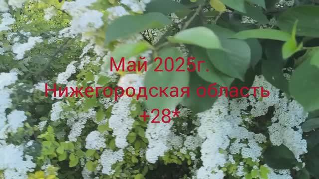 30-05-2025г.Жизнь в деревне.Хроника дня.