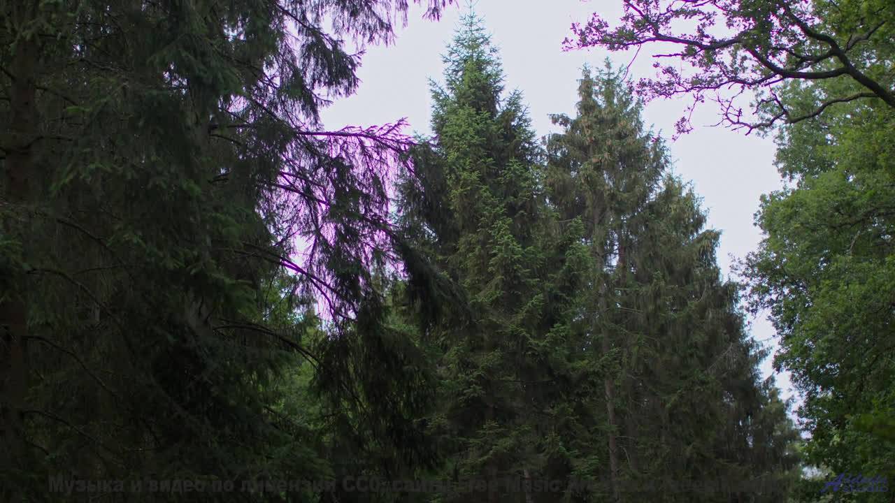 Шум волн + эта музыка = мгновенный релакс! - Kiss the Sky -- Scott Holmes Music -- Happy Background
