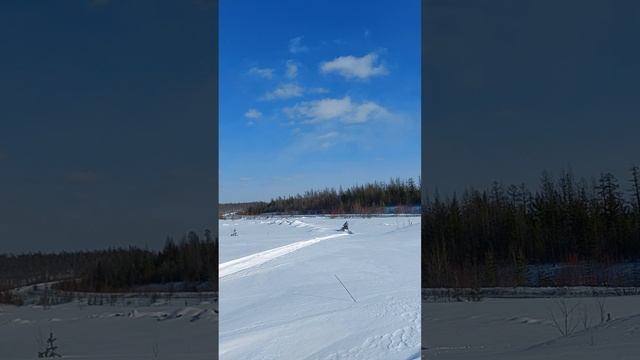 Аодес 1000 свт