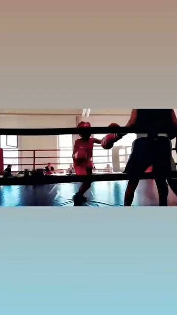 Мощная серия ударов в конце Давид Быдин #бокс #boxing #russia #россия #спорт #fight #ufc #mma