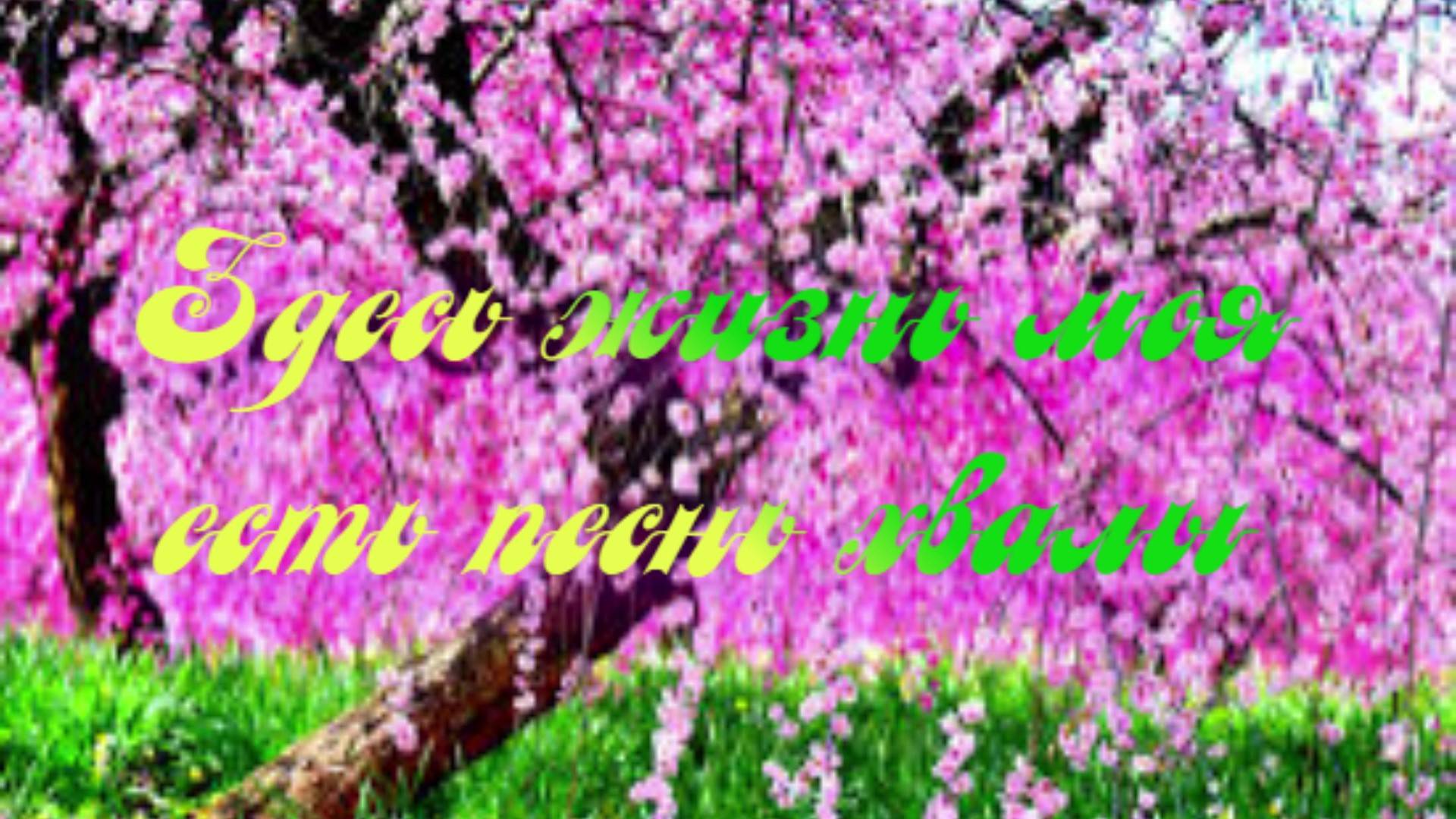Здесь жизнь моя есть песнь хвалы