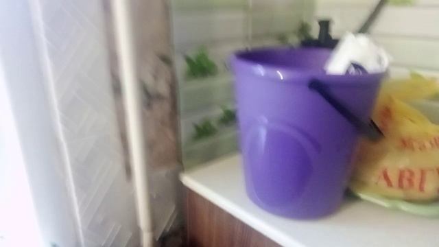 покупки фикс прайс и лисичка магазин