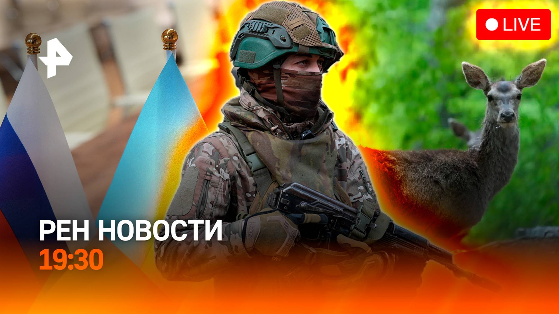 Восстание в тылу — ТЦК атакуют свои же / Когда новые переговоры? / Сайгаки пугают Саратовскую област