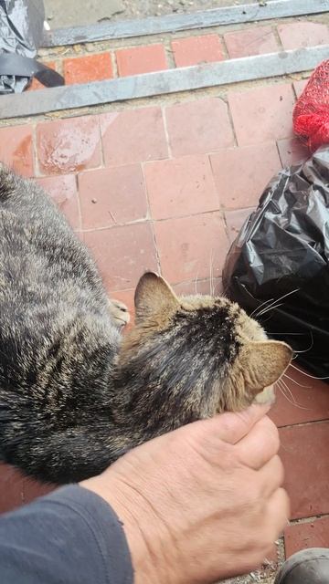 Нужно Чудо, которое могут сделать только волшебники! Надо собрать ещё 6 т.р. на оплату жилья.