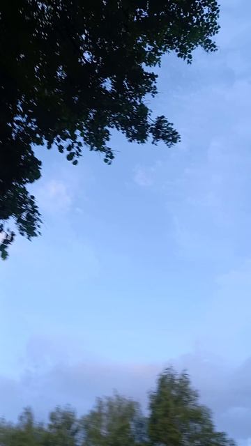 До лета совем чуть-чуть💛