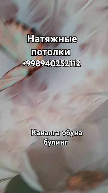 натяжные потолок фото печат. Мурожаат учун +998940252112