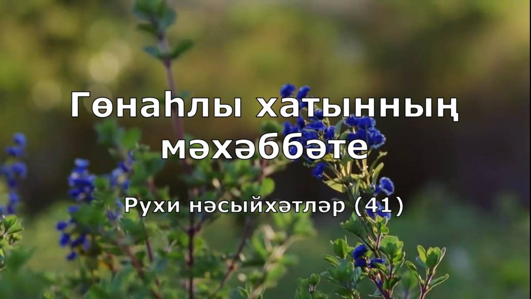 Гөнаһлы хатынның мәхәббәте. 41-нче тапшыру.