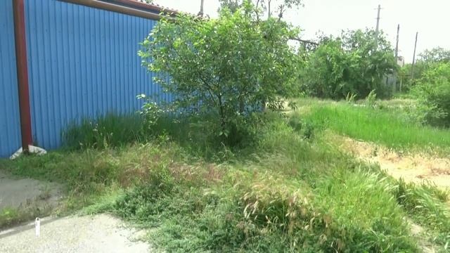 Бизнес должен участвовать в наведении порядка в городе
