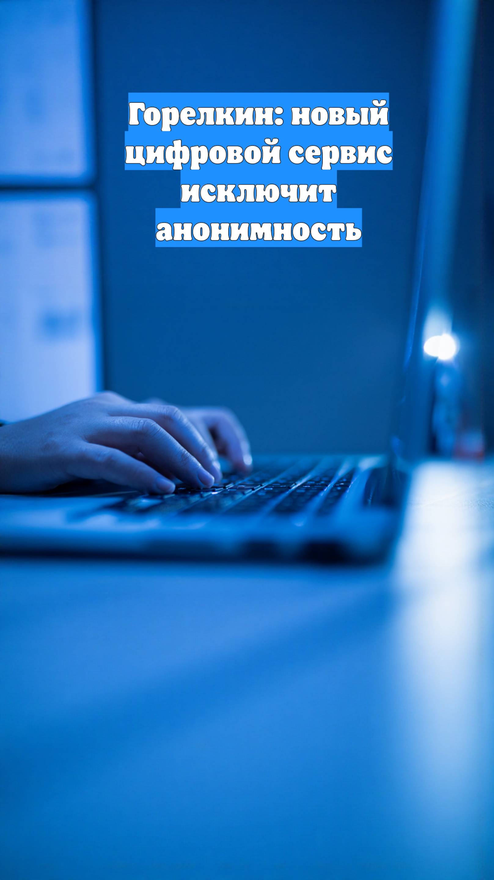 Горелкин: новый цифровой сервис исключит анонимность