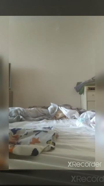 магия в хогворсе