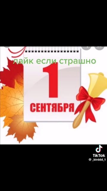 6e82f2d8c1d08a8bf6f22085787515fb.mp4