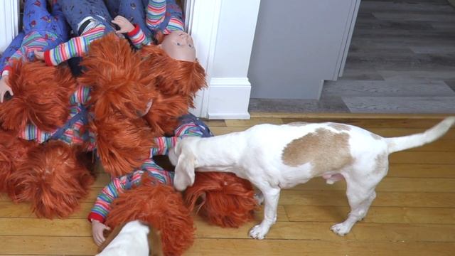 Dog vs Chucky Apocalypse Prank: Funny Dogs Maymo & Potpie vs Chucky Invasion