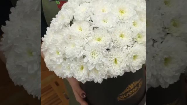 Коробка белых кустовых хризантем 15 шт "Мирослава"