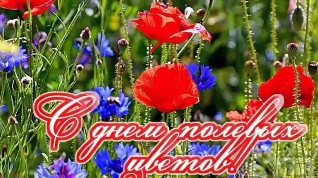 5 июня День полевых цветов