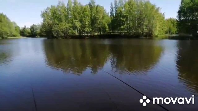 Уклейка. Полная версия.