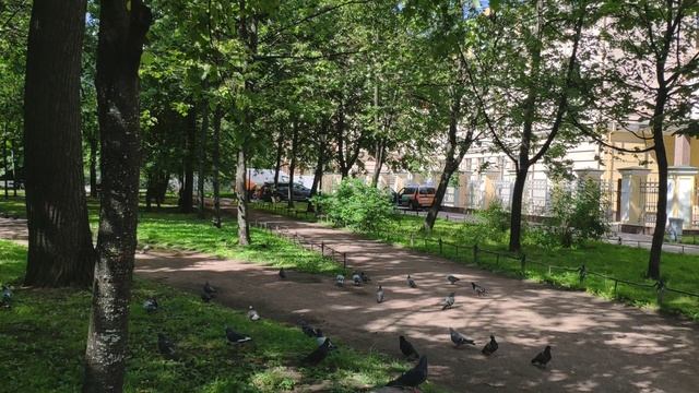 Секретный садик на Литейном проспекте Санкт-Петербурга