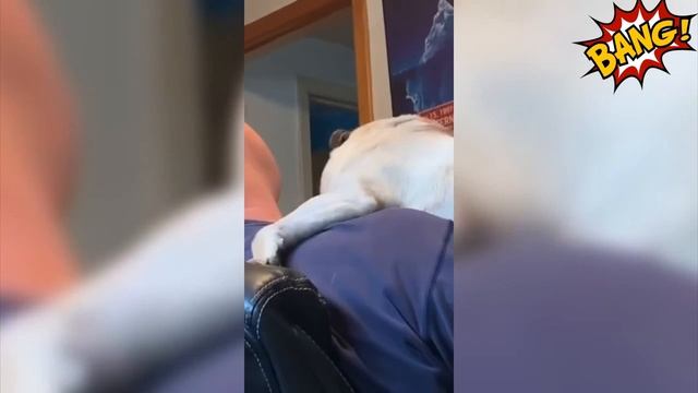 попробуйте не засмеяться челендж