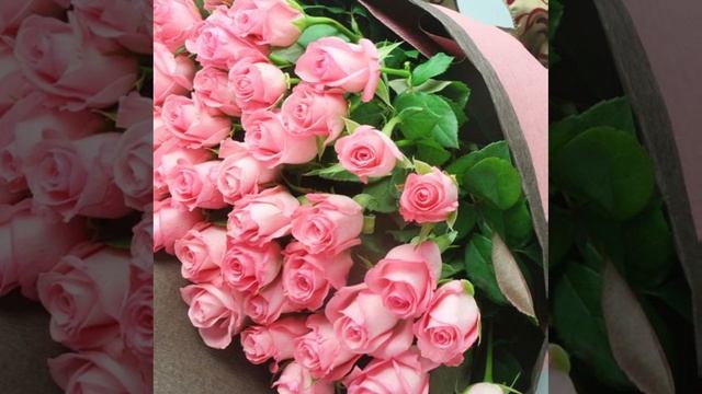 Я отдам тебе сердце ❤️ Владимир ЖУРАВЕЛЬ