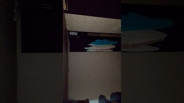 Кошка спряталась. Где она была? И что она там делала?