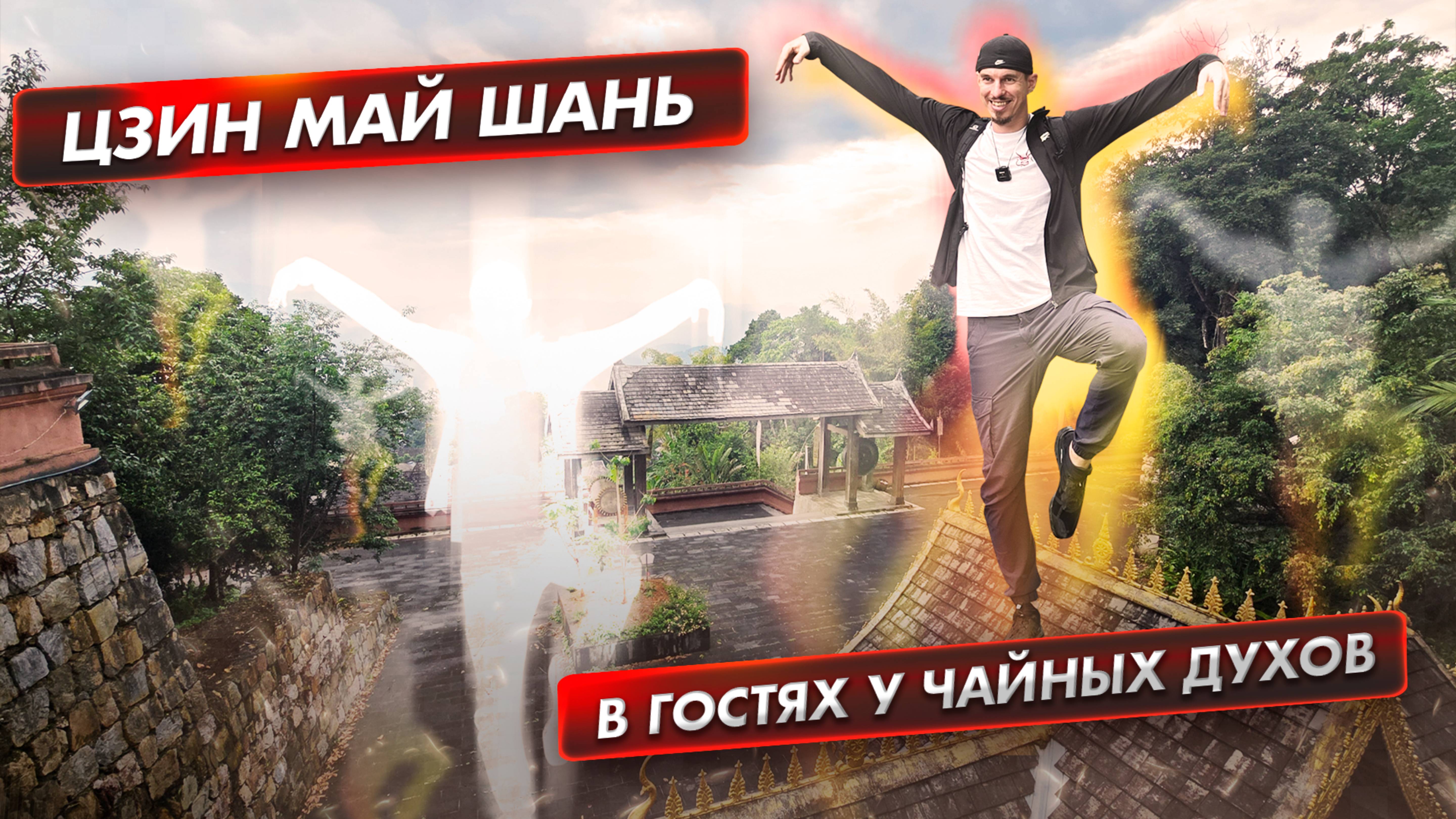 800-летние деревья горы Цзин Май и мистика народа Булан