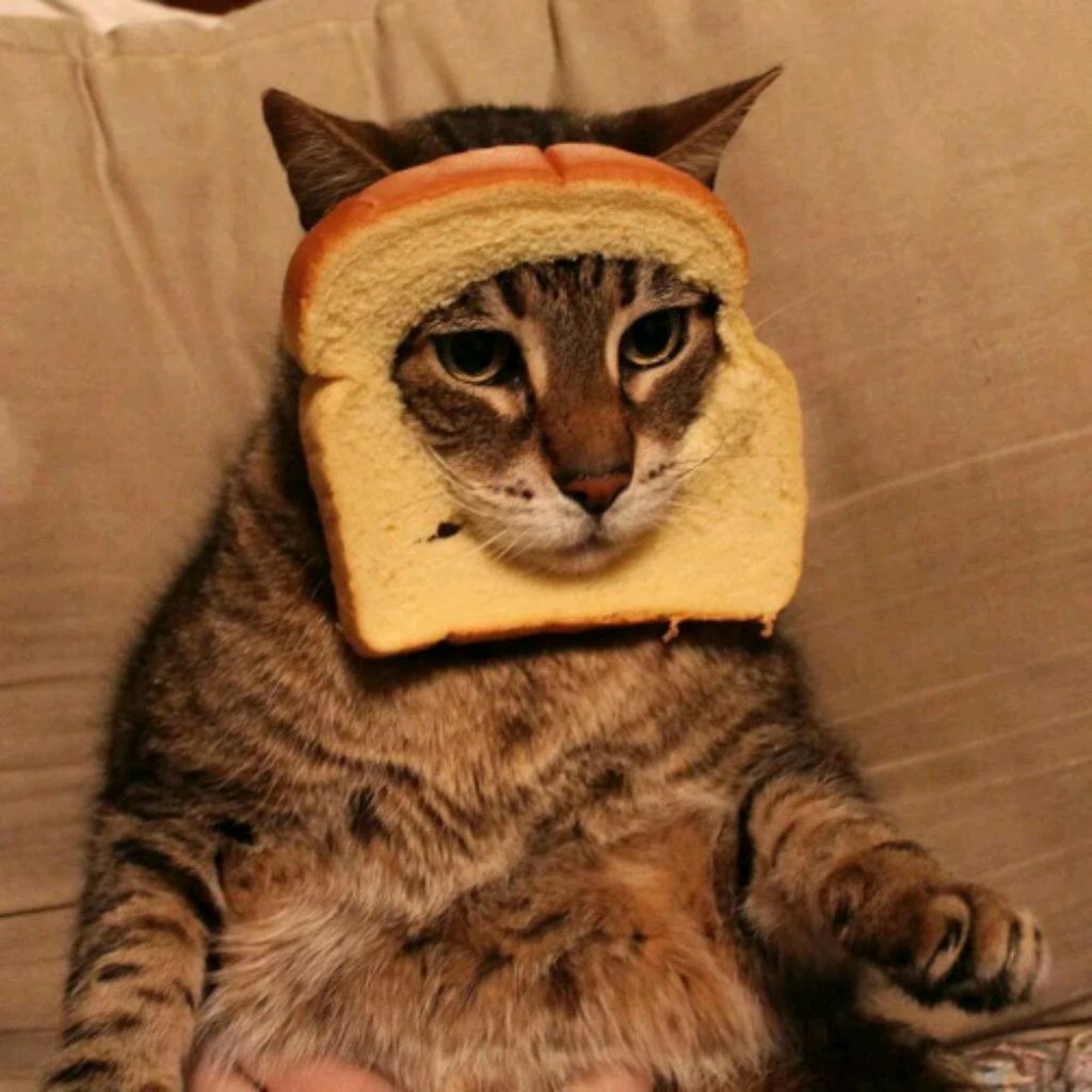 Вован